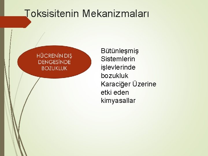 Toksisitenin Mekanizmaları Bütünleşmiş Sistemlerin işlevlerinde bozukluk Karaciğer Üzerine etki eden kimyasallar 