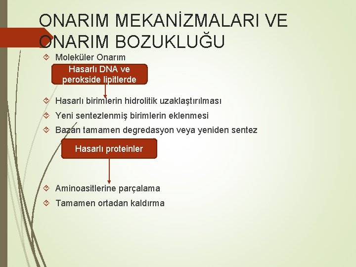 ONARIM MEKANİZMALARI VE ONARIM BOZUKLUĞU Moleküler Onarım Hasarlı DNA ve perokside lipitlerde Hasarlı birimlerin