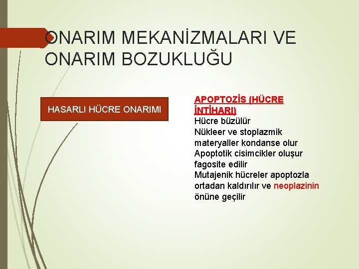 ONARIM MEKANİZMALARI VE ONARIM BOZUKLUĞU HASARLI HÜCRE ONARIMI APOPTOZİS (HÜCRE İNTİHARI) Hücre büzülür Nükleer