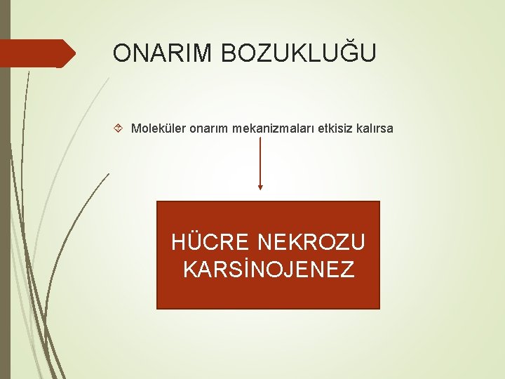 ONARIM BOZUKLUĞU Moleküler onarım mekanizmaları etkisiz kalırsa HÜCRE NEKROZU KARSİNOJENEZ 