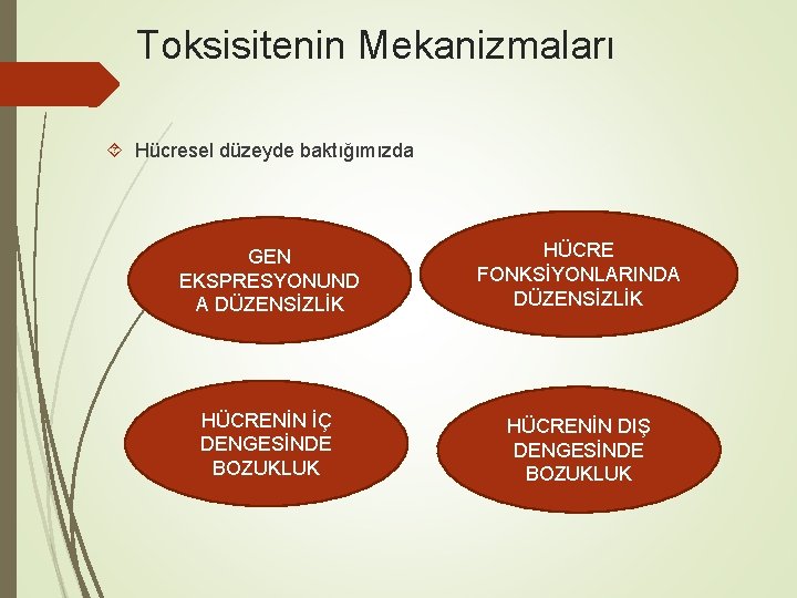 Toksisitenin Mekanizmaları Hücresel düzeyde baktığımızda GEN EKSPRESYONUND A DÜZENSİZLİK HÜCRE FONKSİYONLARINDA DÜZENSİZLİK HÜCRENİN İÇ