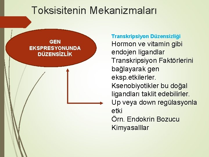 Toksisitenin Mekanizmaları GEN EKSPRESYONUNDA DÜZENSİZLİK Transkripsiyon Düzensizliği Hormon ve vitamin gibi endojen ligandlar Transkripsiyon