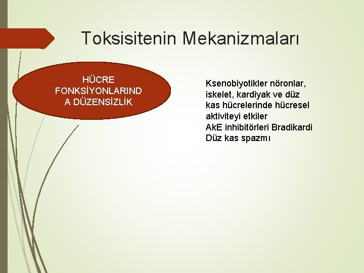 Toksisitenin Mekanizmaları HÜCRE FONKSİYONLARIND A DÜZENSİZLİK Ksenobiyotikler nöronlar, iskelet, kardiyak ve düz kas hücrelerinde