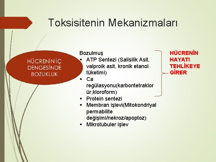 Toksisitenin Mekanizmaları Bozulmuş § ATP Sentezi (Salisilik Asit, valproik asit, kronik etanol tüketimi) §