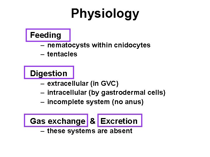 Physiology Feeding – nematocysts within cnidocytes – tentacles Digestion – extracellular (in GVC) –