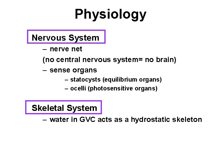 Physiology Nervous System – nerve net (no central nervous system= no brain) – sense