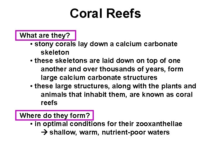 Coral Reefs What are they? • stony corals lay down a calcium carbonate skeleton