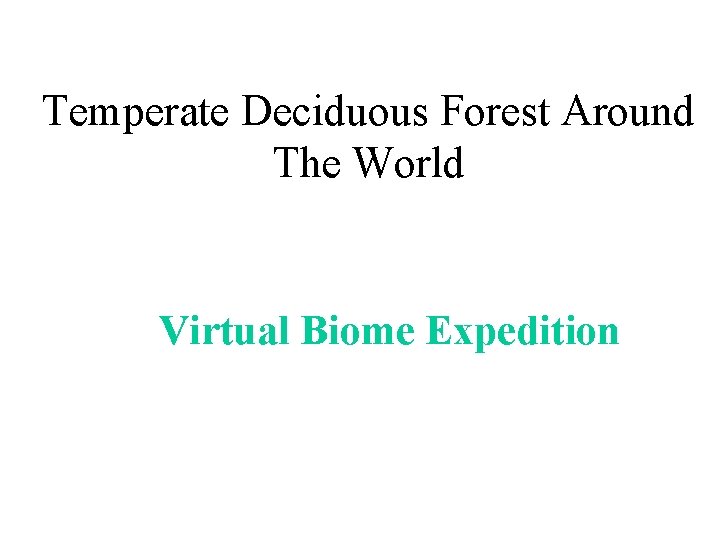 Temperate Deciduous Forest Around The World Virtual Biome Expedition 