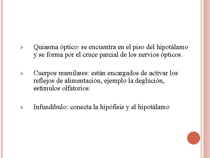 Ø Quiasma óptico: se encuentra en el piso del hipotálamo y se forma por