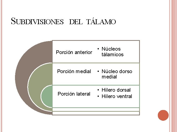 SUBDIVISIONES DEL TÁLAMO • Núcleos Porción anterior tálamicos Porción medial • Núcleo dorso medial