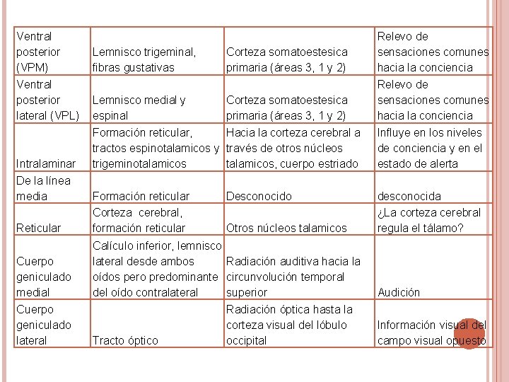 Ventral posterior (VPM) Ventral posterior lateral (VPL) Lemnisco trigeminal, fibras gustativas Corteza somatoestesica primaria