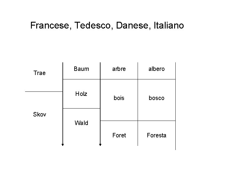 Francese, Tedesco, Danese, Italiano Trae Baum Holz arbre albero bois bosco Foret Foresta Skov Francese, Tedesco, Danese, Italiano Trae Baum Holz arbre albero bois bosco Foret Foresta Skov