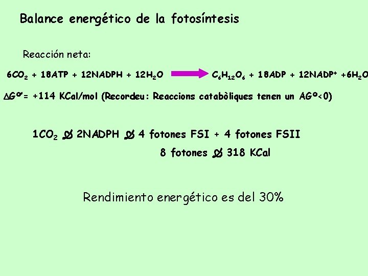 Balance energético de la fotosíntesis Reacción neta: 6 CO 2 + 18 ATP +