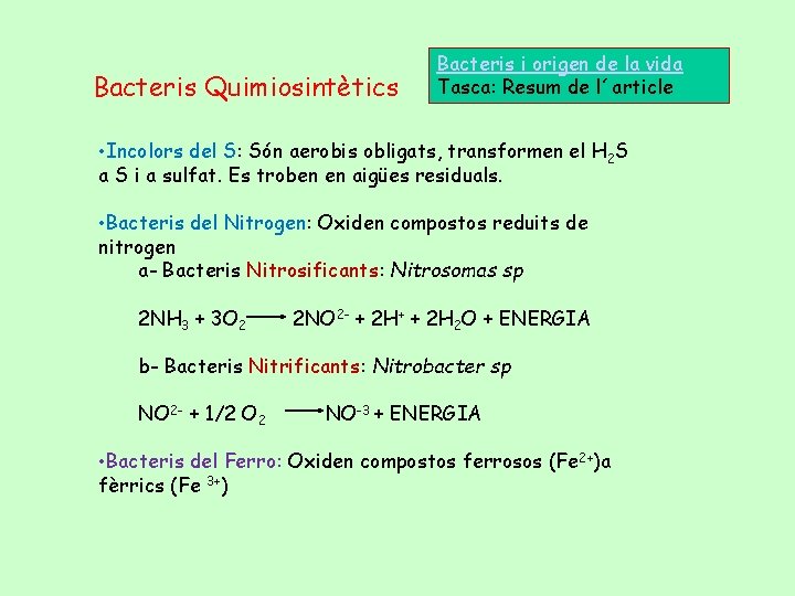 Bacteris Quimiosintètics Bacteris i origen de la vida Tasca: Resum de l´article • Incolors