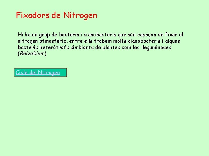 Fixadors de Nitrogen Hi ha un grup de bacteris i cianobacteris que són capaços