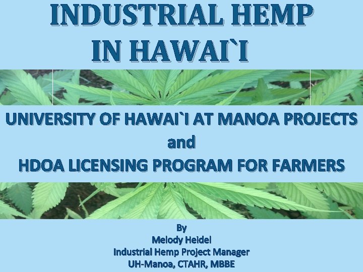 INDUSTRIAL HEMP IN HAWAI`I UNIVERSITY OF HAWAI`I AT MANOA PROJECTS and HDOA LICENSING PROGRAM