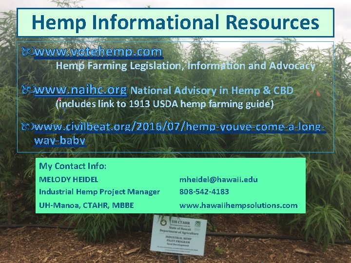 Hemp Informational Resources www. votehemp. com Hemp Farming Legislation, Information and Advocacy www. naihc.