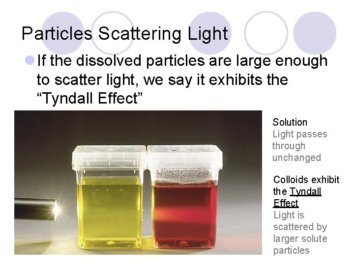 Particles Scattering Light l If the dissolved particles are large enough to scatter light,