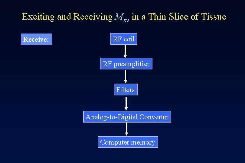 Exciting and Receiving Mxy in a Thin Slice of Tissue Receive: RF coil RF