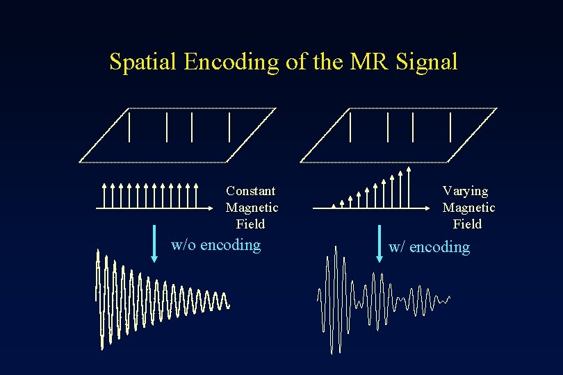 Spatial Encoding of the MR Signal Constant Magnetic Field w/o encoding Varying Magnetic Field
