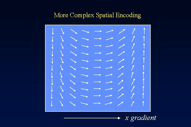 More Complex Spatial Encoding x gradient 