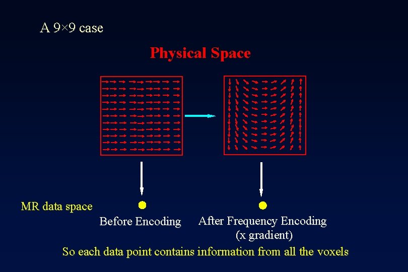 A 9× 9 case Physical Space MR data space After Frequency Encoding (x gradient)