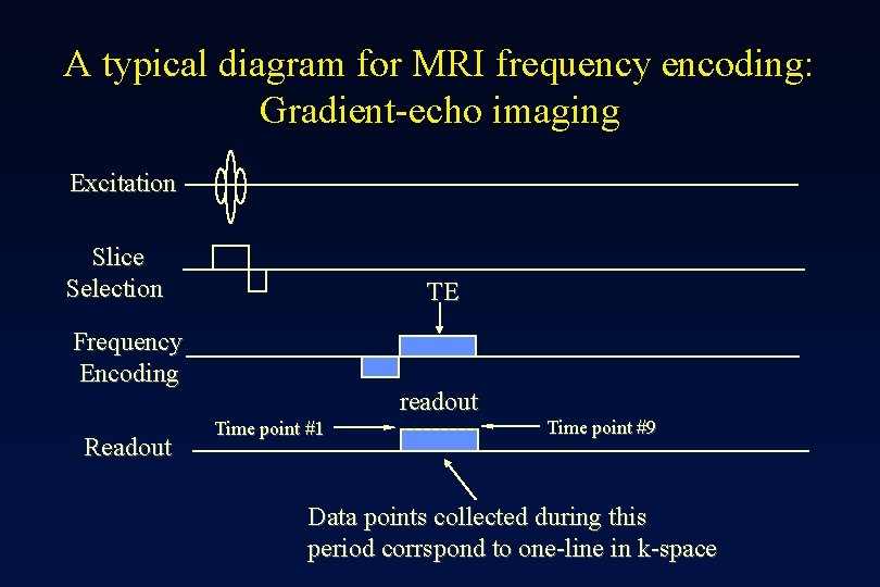 A typical diagram for MRI frequency encoding: Gradient-echo imaging Excitation Slice Selection TE Frequency