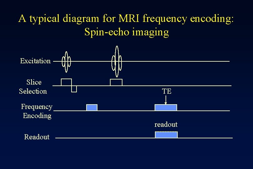 A typical diagram for MRI frequency encoding: Spin-echo imaging Excitation Slice Selection TE Frequency
