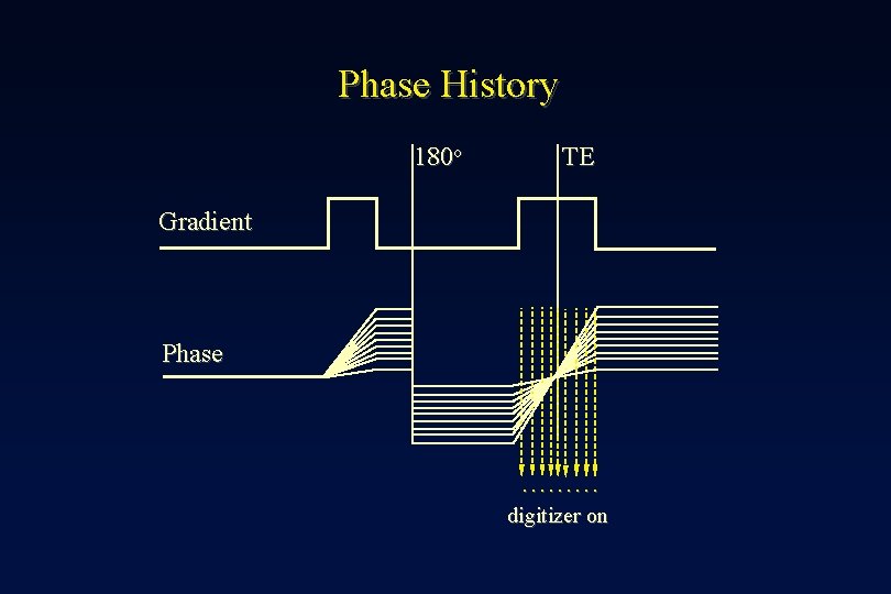 Phase History 180 o TE Gradient Phase ……… digitizer on 