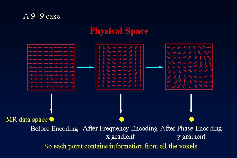 A 9× 9 case Physical Space MR data space Before Encoding After Frequency Encoding