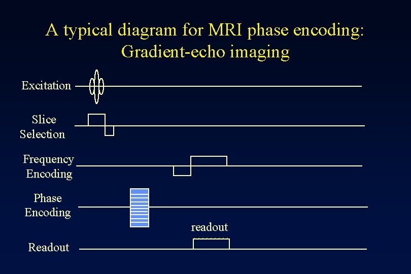 A typical diagram for MRI phase encoding: Gradient-echo imaging Excitation Slice Selection Frequency Encoding