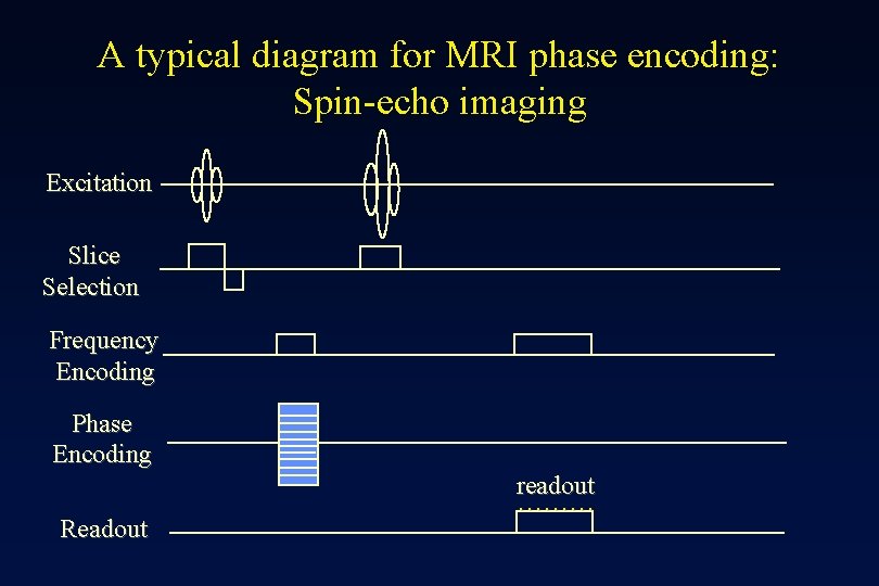 A typical diagram for MRI phase encoding: Spin-echo imaging Excitation Slice Selection Frequency Encoding