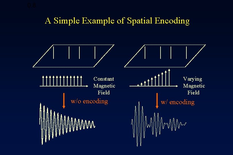 0. 8 A Simple Example of Spatial Encoding Constant Magnetic Field w/o encoding Varying