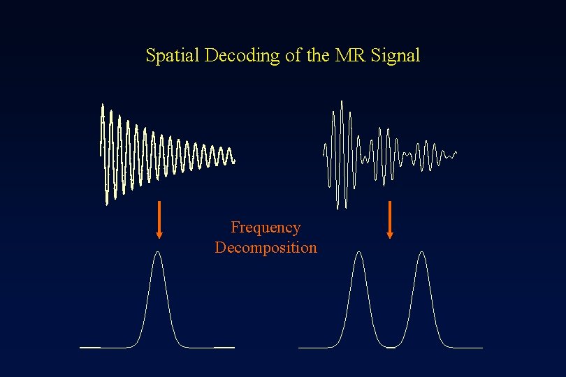 Spatial Decoding of the MR Signal Frequency Decomposition 