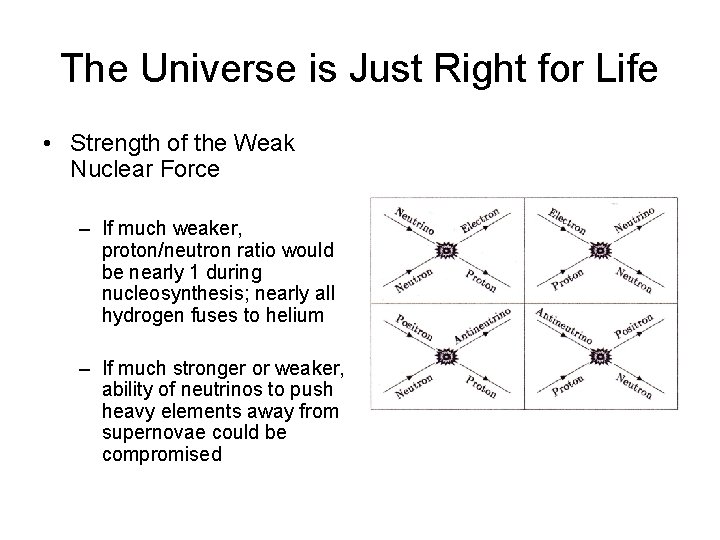 The Universe is Just Right for Life • Strength of the Weak Nuclear Force