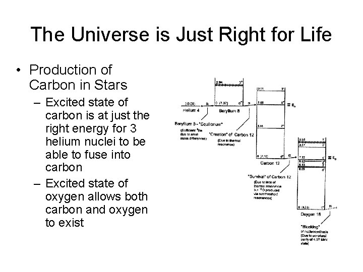 The Universe is Just Right for Life • Production of Carbon in Stars –