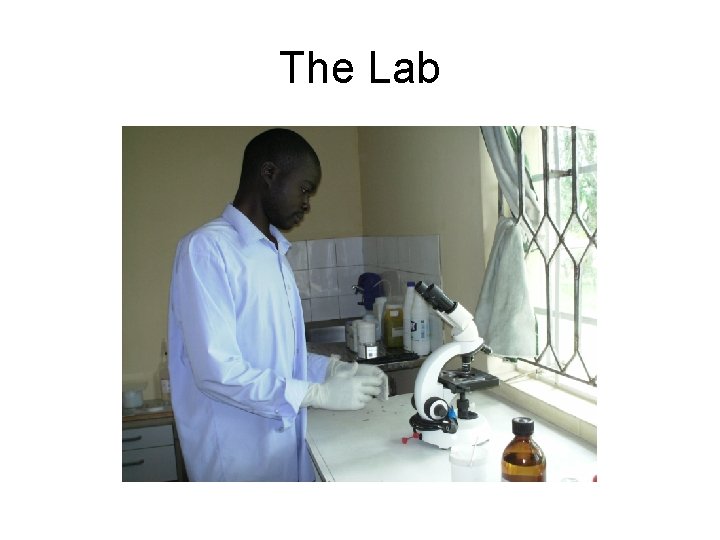 The Lab 