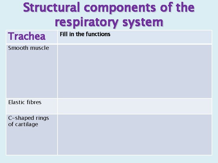 Structural components of the respiratory system Trachea Smooth muscle Elastic fibres C-shaped rings of