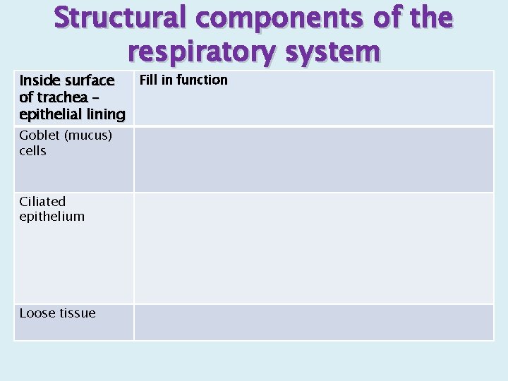 Structural components of the respiratory system Fill in function Inside surface of trachea –