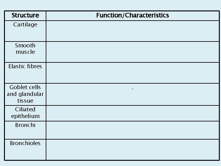 Structure Function/Characteristics Cartilage Smooth muscle Elastic fibres Goblet cells and glandular tissue Ciliated epithelium