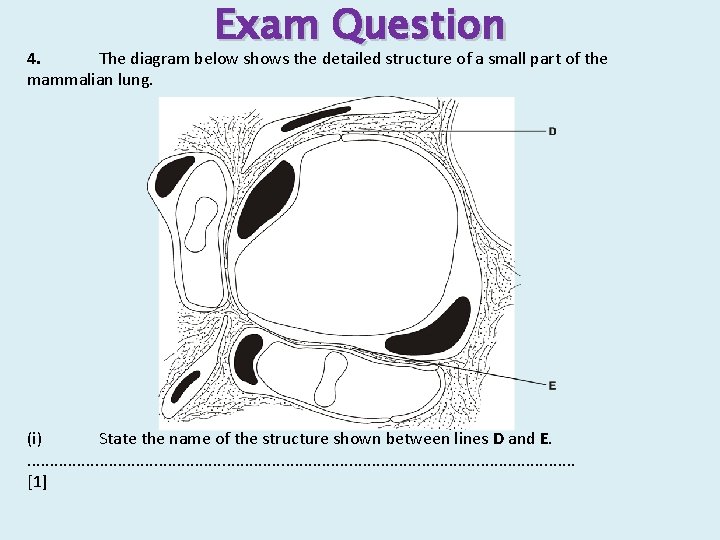 Exam Question 4. The diagram below shows the detailed structure of a small part