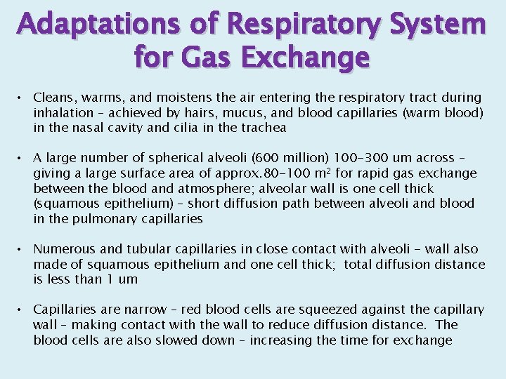 Adaptations of Respiratory System for Gas Exchange • Cleans, warms, and moistens the air