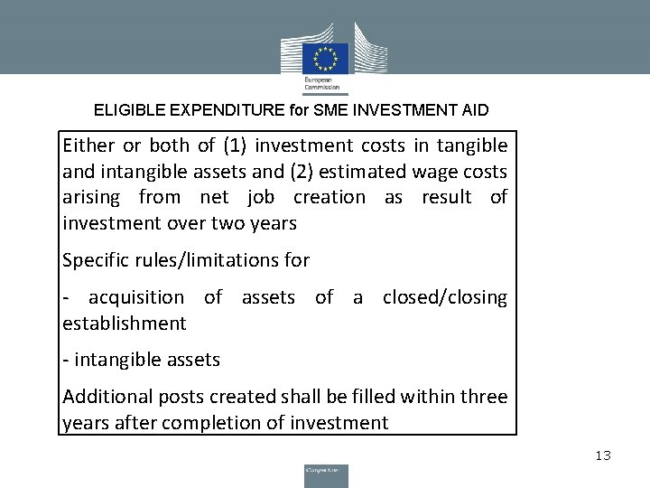 ELIGIBLE EXPENDITURE for SME INVESTMENT AID Either or both of (1) investment costs in