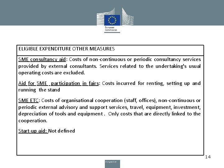 ELIGIBLE EXPENDITURE OTHER MEASURES SME consultancy aid: Costs of non-continuous or periodic consultancy services