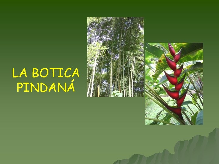 LA BOTICA PINDANÁ 