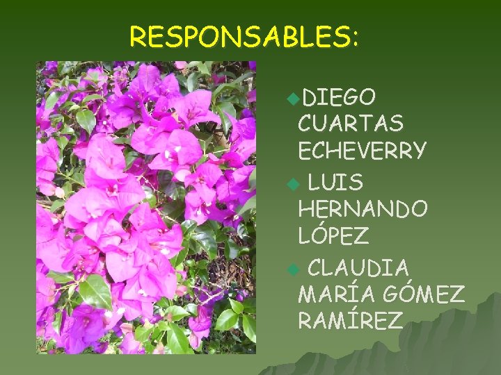 RESPONSABLES: u. DIEGO CUARTAS ECHEVERRY u LUIS HERNANDO LÓPEZ u CLAUDIA MARÍA GÓMEZ RAMÍREZ