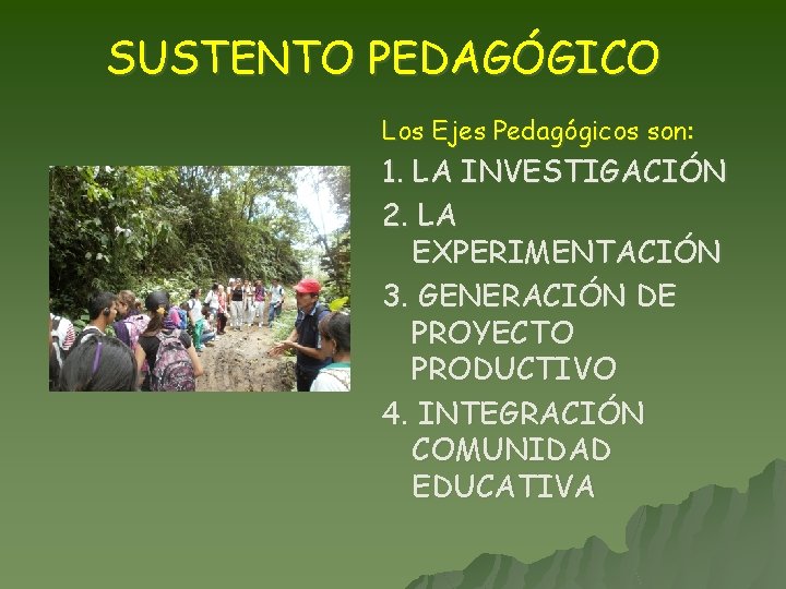 SUSTENTO PEDAGÓGICO Los Ejes Pedagógicos son: 1. LA INVESTIGACIÓN 2. LA EXPERIMENTACIÓN 3. GENERACIÓN