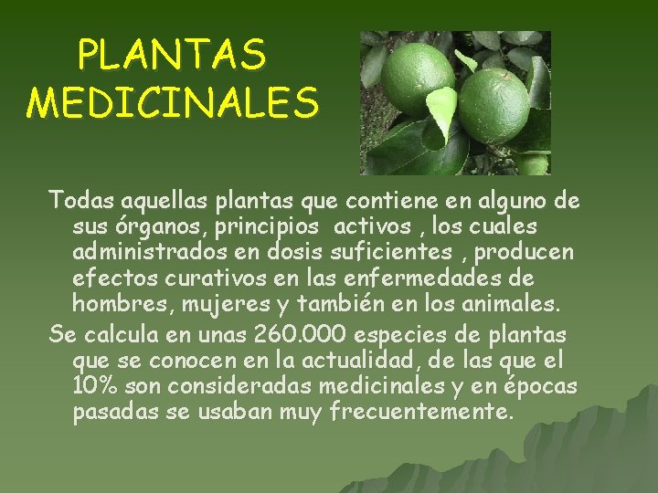 PLANTAS MEDICINALES Todas aquellas plantas que contiene en alguno de sus órganos, principios activos