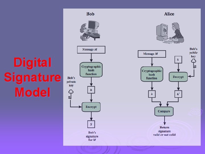 Digital Signature Model 