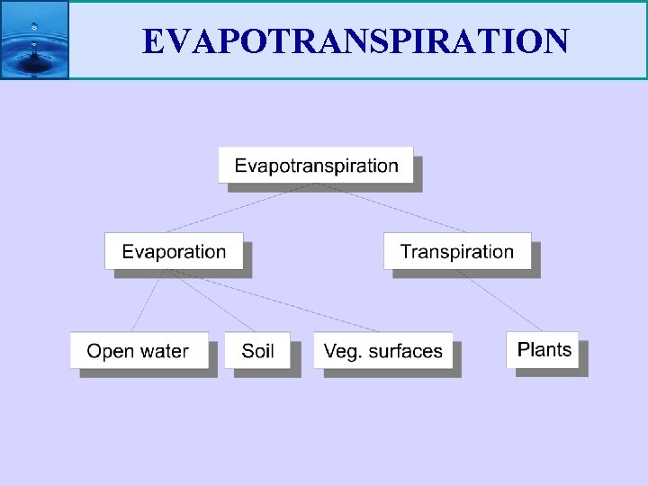 EVAPOTRANSPIRATION 